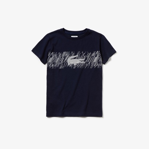 Shirt bambino lacoste - t-shirt,